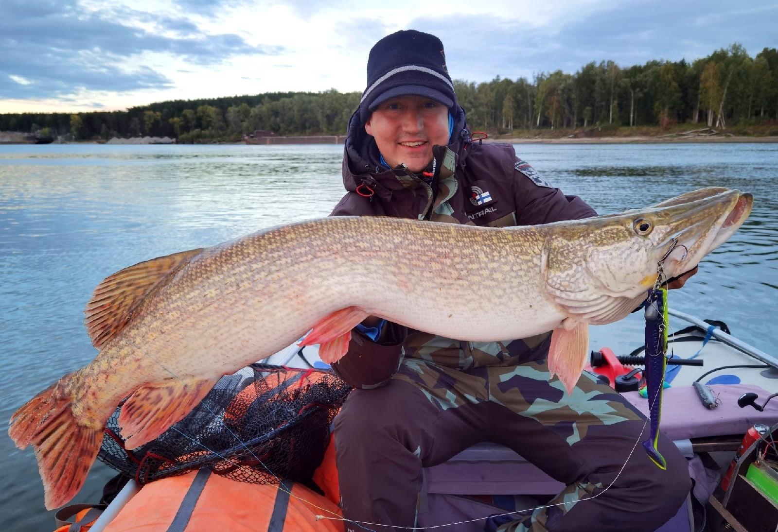 12 gadus vecs zvejnieks noķēra 5 kilogramu smagu līdaku, un tas, ko viņš atrada tās iekšienē, nav skats vājiem nerviem.