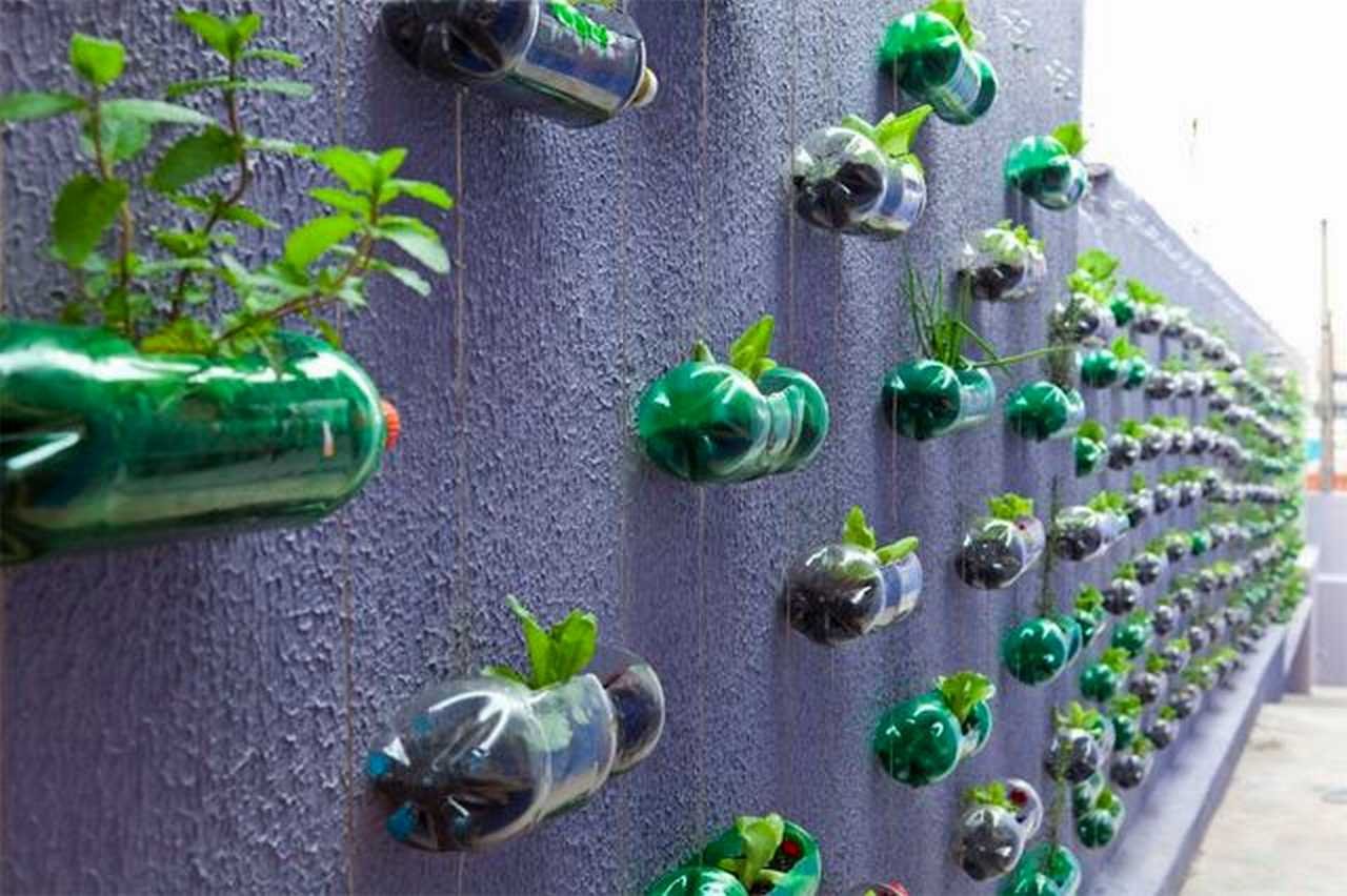 Plastmasas pudeles novietošana dārza augos: kāpēc tas ir ieteicams