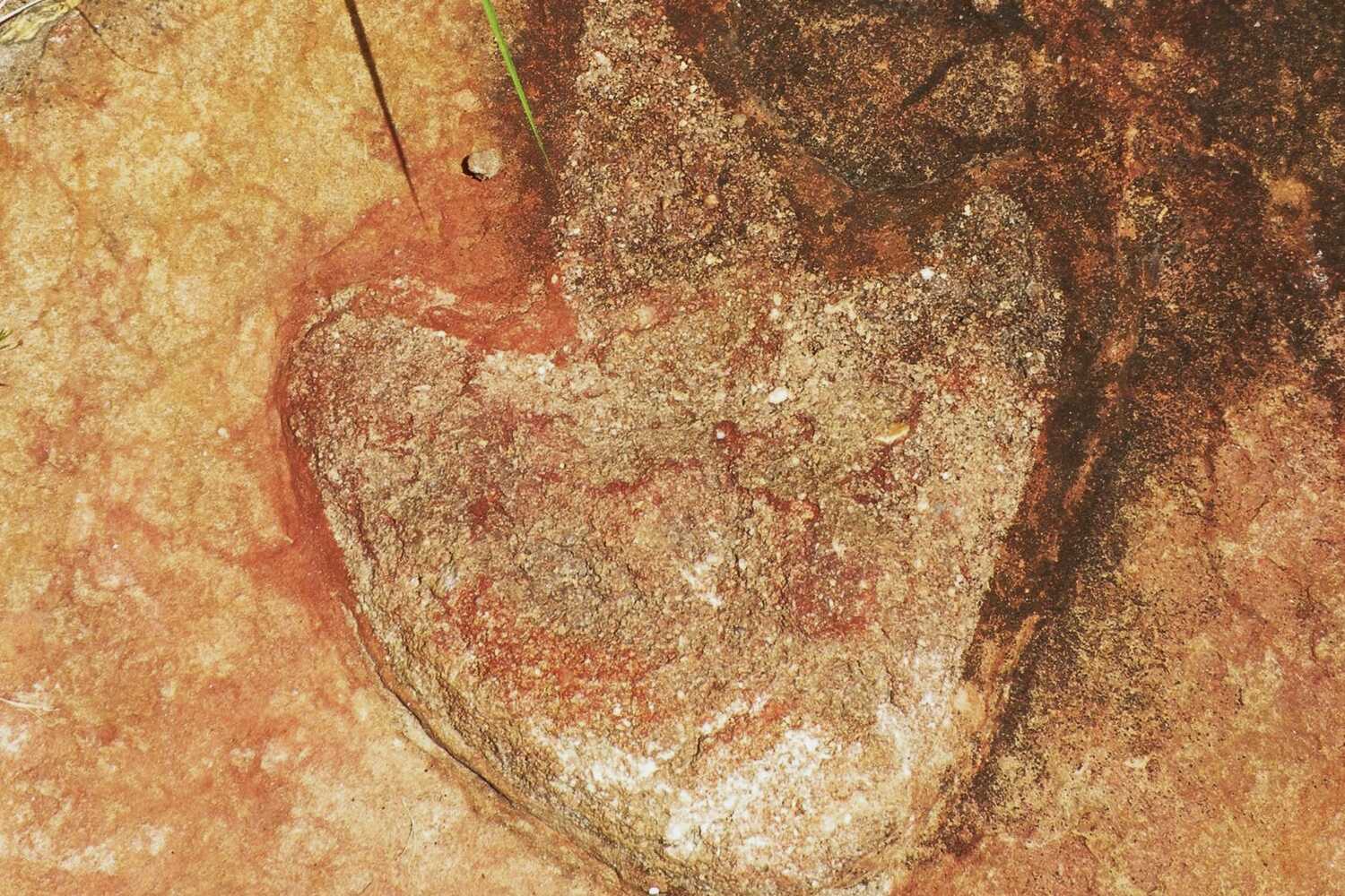 Atklājums, kas pārsteidza zinātniekus: blakus dinozauru pēdām atrastas 9000 gadus vecas klinšu zīmējumi