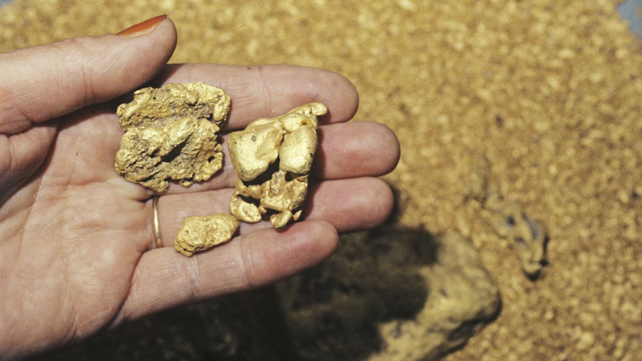 Jauns zelta drudzis: atklāts līdz šim lielākais zelta atradums