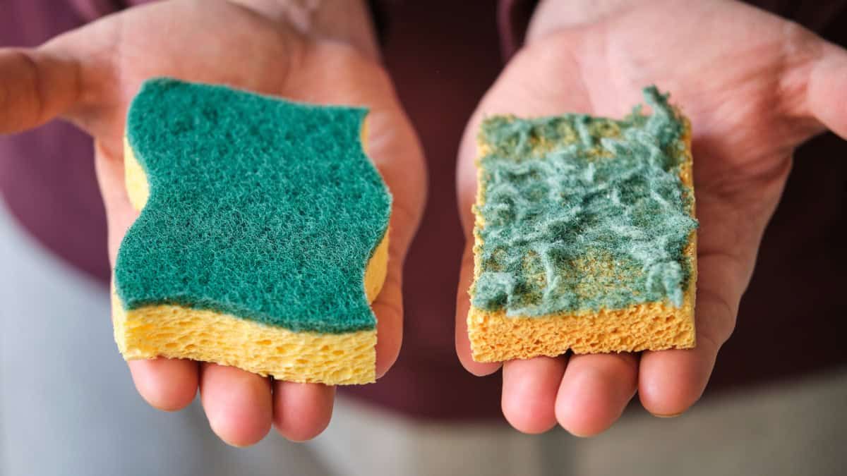 Ja jums ir veca virtuves sūkli, neizmetiet to: kā to var izmantot mājās jaunā veidā