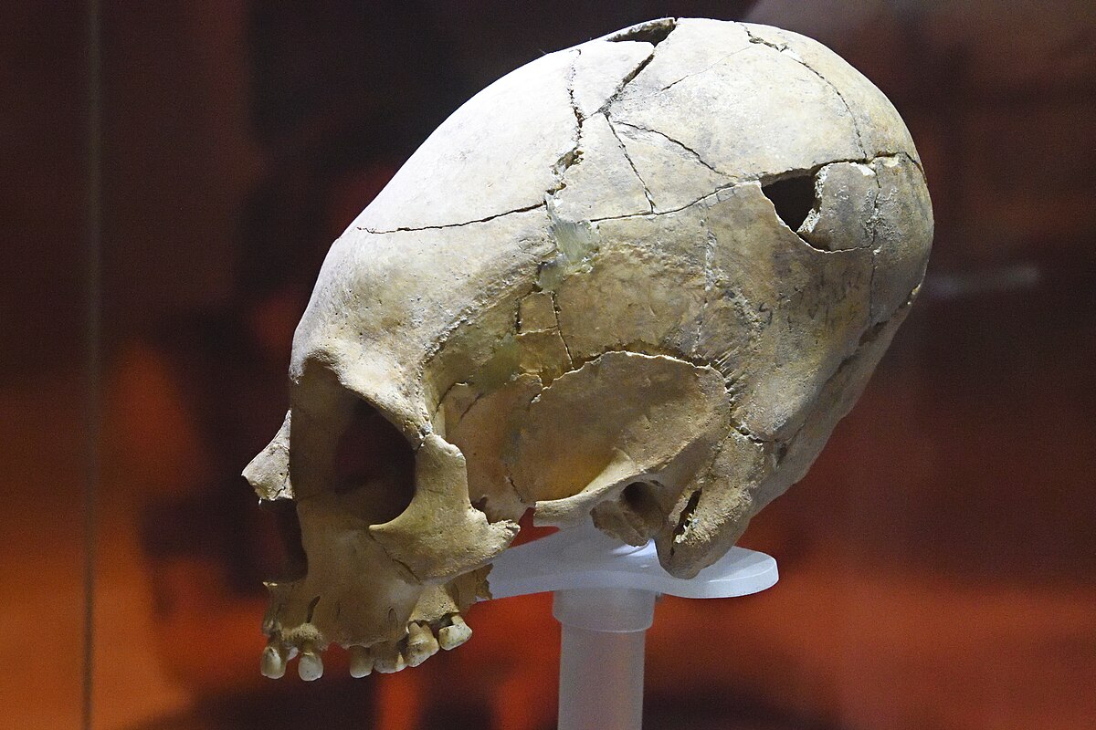 1985. gadā biologs Antarktīdā atrada noslēpumainu galvaskausu: šodien zinātne turpina meklēt izskaidrojumu.