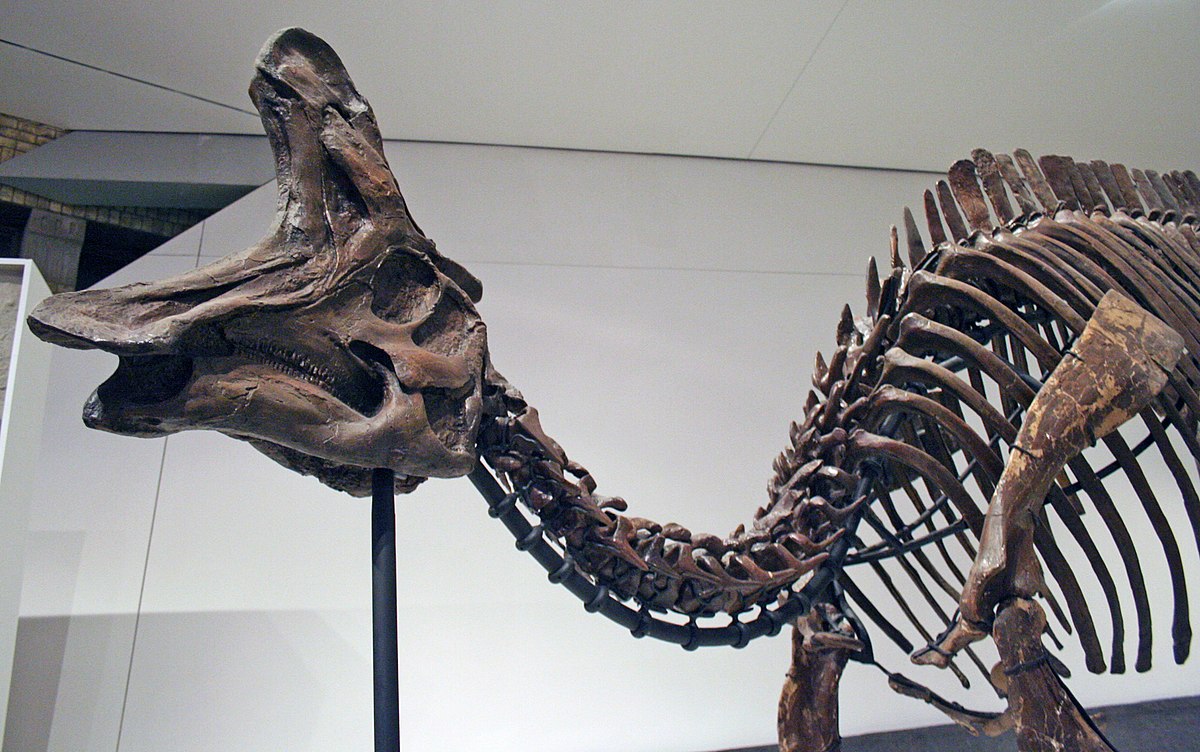 Dinozauri nebrēca, viņi dziedāja: atklāta pirmā fosilā balsene, kas liecina par putnu vokālo izpausmi
