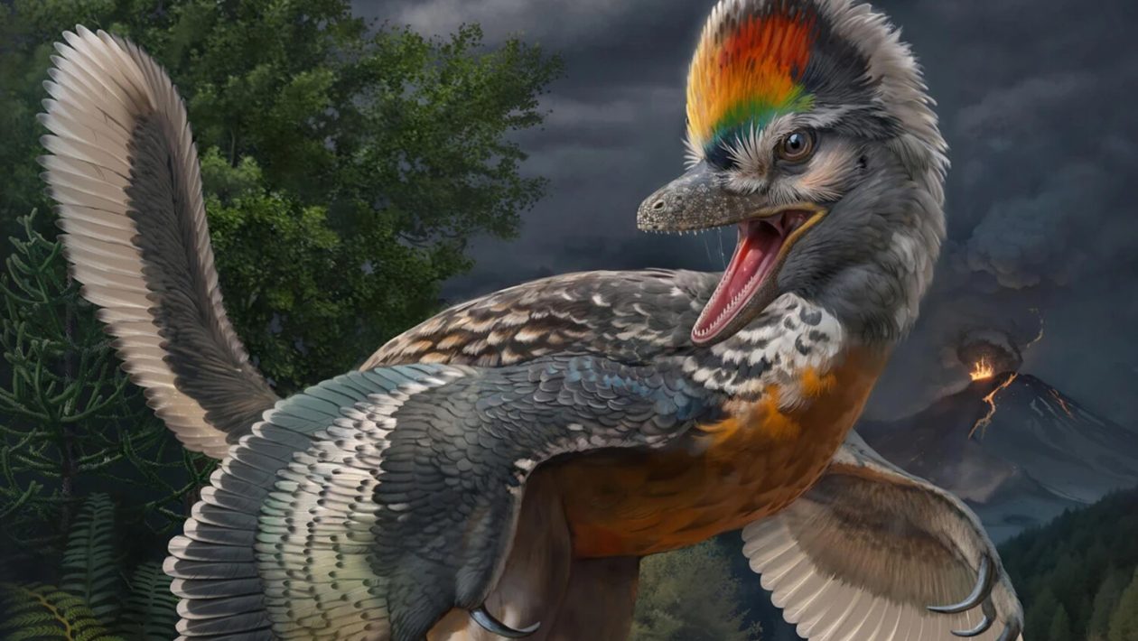 Dinozauri