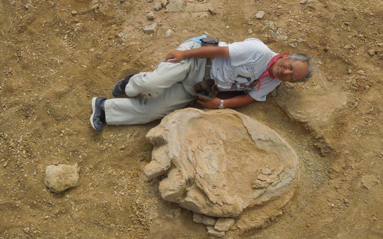 11 gadus veca meitene atrod 25 metrus garu “delfīna” fosilijas, kas peldējis dinozauru laikmetā.