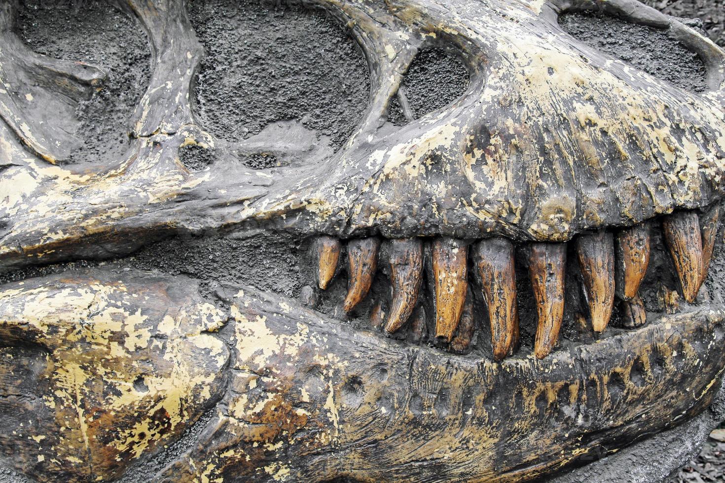 Ar saplacinātu galvu un milzīgiem zobiem: mēs atklājām gigantisku plēsēju, kas bija vecāks par dinozauriem.