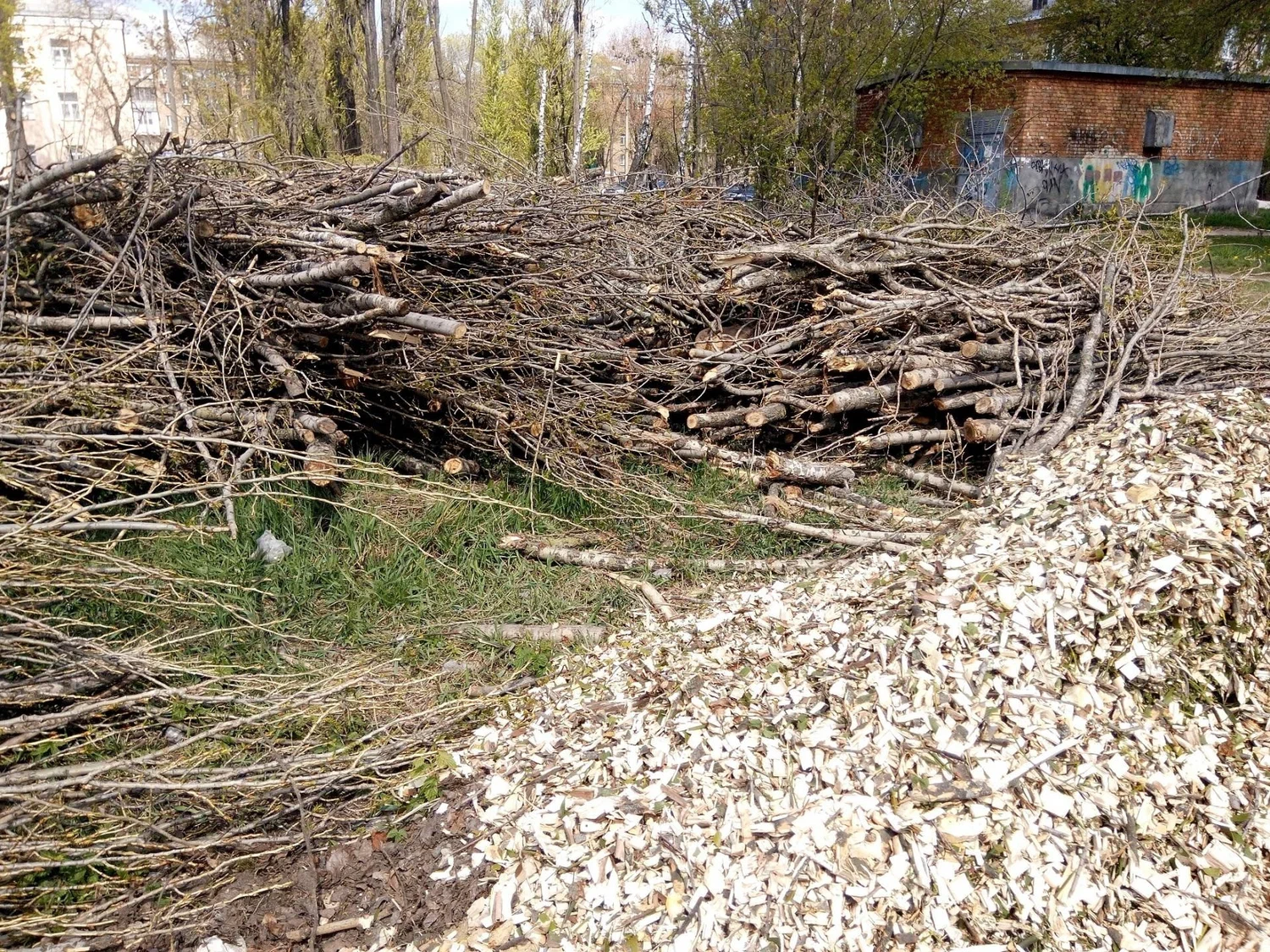 Ja jums mājās ir neizmantoti koka atgriezumi, jums ir dārgums: kāpēc un kam tos izmantot.