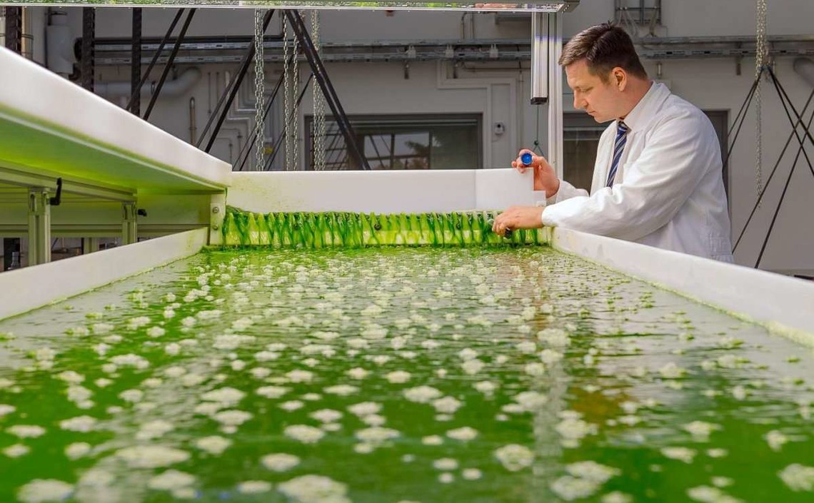 Hjūstonas Universitātes inženieris izstrādā uzlabotas, bioloģiski noārdāmas un daudzfunkcionālas baktēriju celulozes loksnes, kas var aizstāt plastmasu daudzās rūpniecības nozarēs.