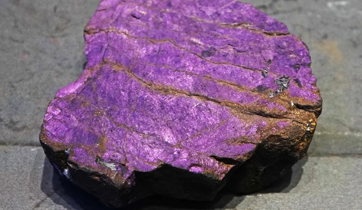 purpura