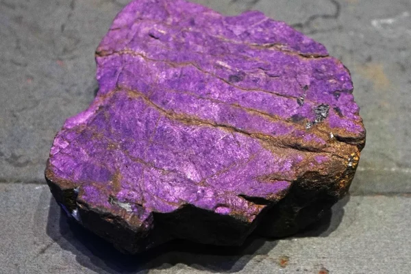 purpura