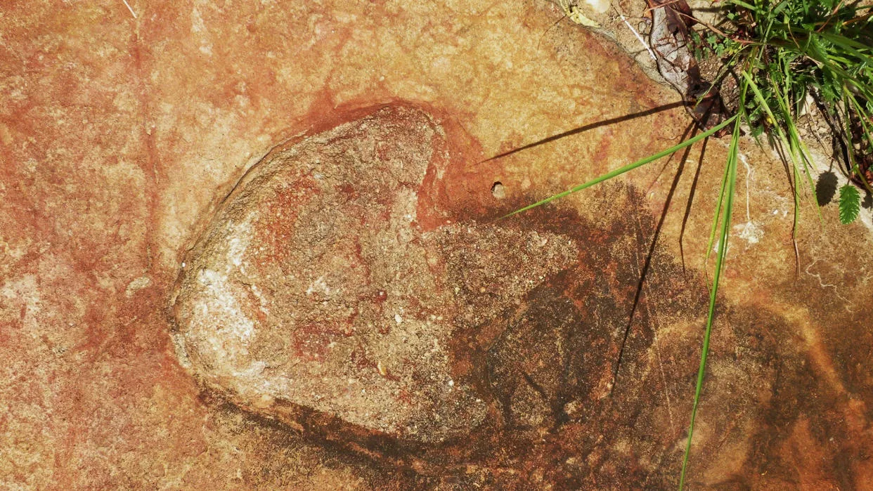 dinozauru