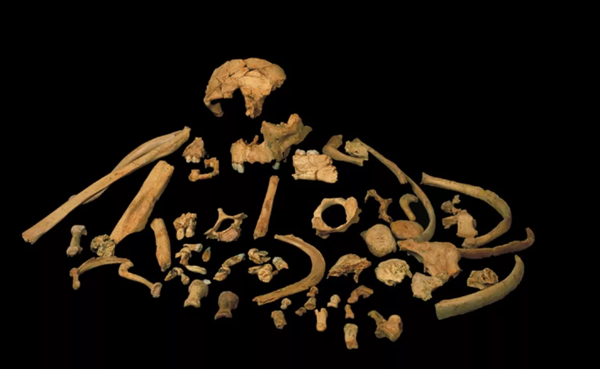 Senais galvaskauss, kas atrasts Izraēlā, atkal atklāj noslēpumu par Homo sapiens un neandertāliešu līdzāspastāvēšanu.