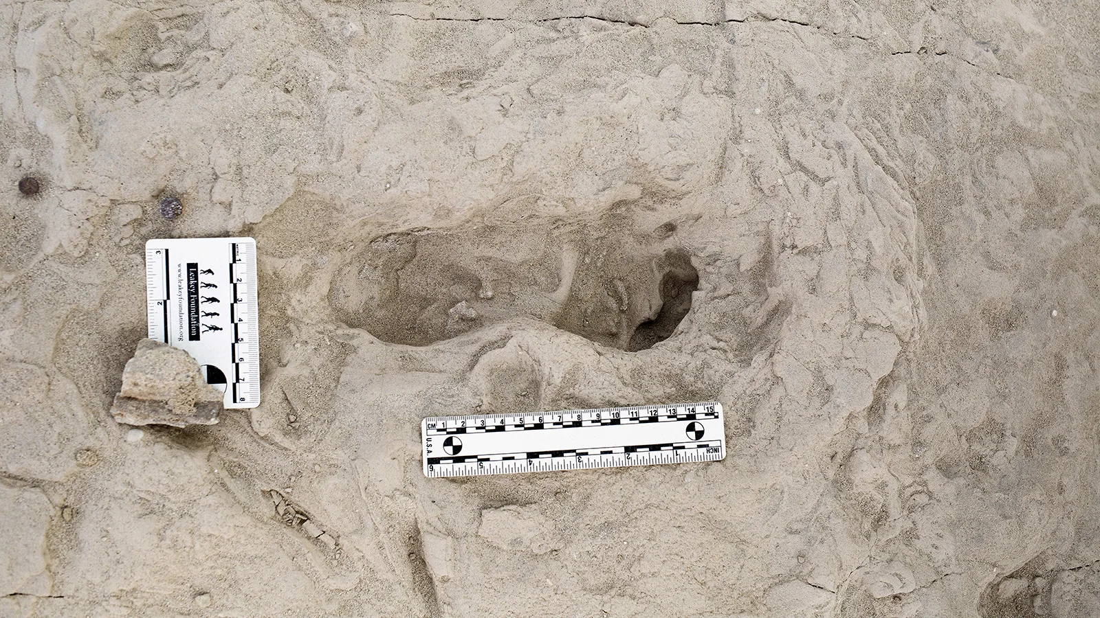 Zinātnieki atklājuši 78 000 gadu vecas neandertāliešu pēdas, kas stāsta par izdzīvošanu