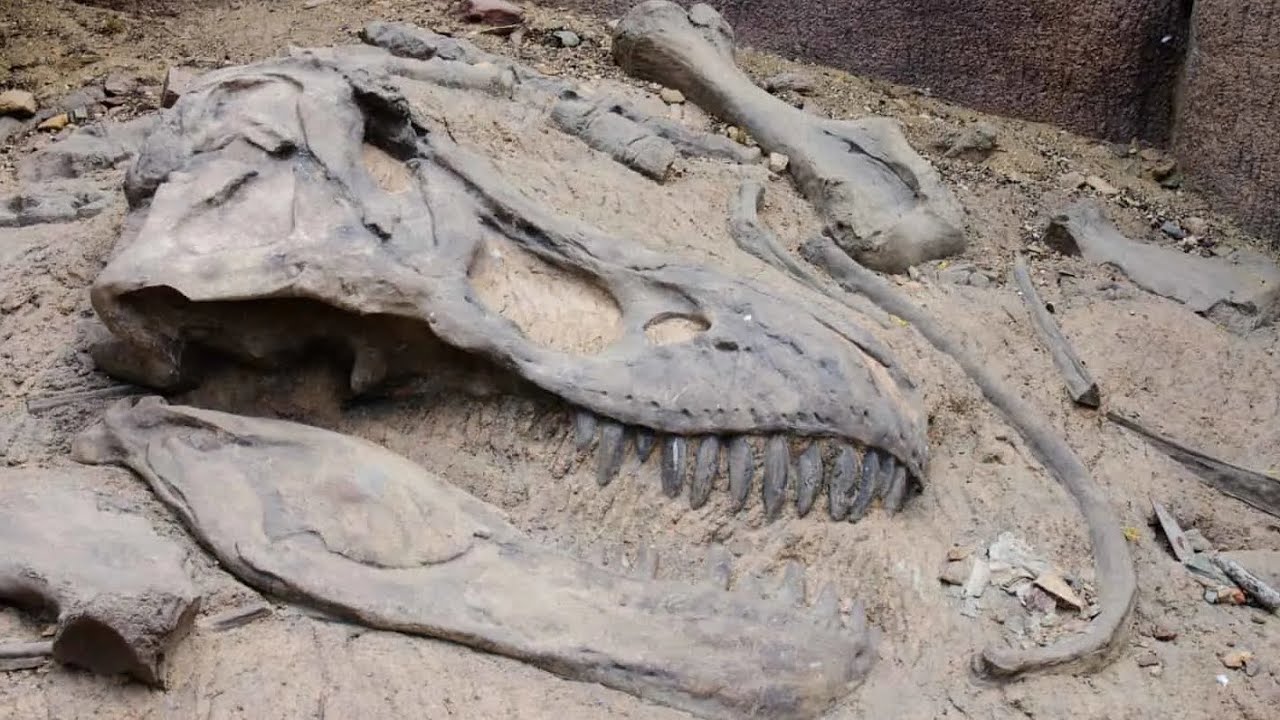 Dinozauri nebrēca, viņi dziedāja: atklāta pirmā fosilā balsene, kas liecina par putnu vokālo izpausmi