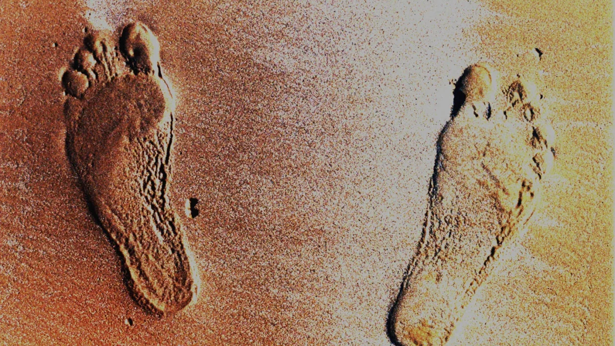 neandertāliešu