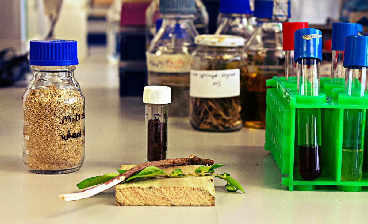Hjūstonas Universitātes inženieris izstrādā uzlabotas, bioloģiski noārdāmas un daudzfunkcionālas baktēriju celulozes loksnes, kas var aizstāt plastmasu daudzās rūpniecības nozarēs.