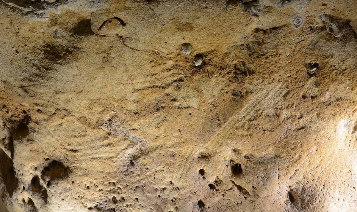 Zinātnieki atklājuši 78 000 gadu vecas neandertāliešu pēdas, kas stāsta par izdzīvošanu